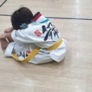 흑룡태권도장 네이버블로그