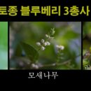 하례2리 이미지