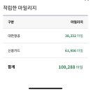 대한항공 10만 마일리지 넘었다 이미지