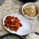 케이투서대전메가샵 | 한해의 절반3