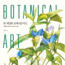 색연필로 그리는 꽃, 보태니컬 아트 이미지