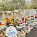 백아한방병원 이미지