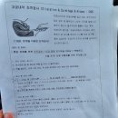 [일상] 자궁내막암1기 3개월 후, 조직검사와 소파술받은 후기...!