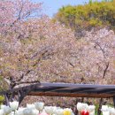 (주)연지 네이버블로그