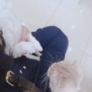 튼튼동물병원 이미지