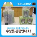 수성못 관광안내소 | 대구 수성구 여행 수성못 관광안내소에서 대구여행 선물 뚜비 굿즈 좋아요!