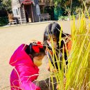 참유치원 이미지