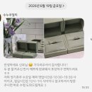 W6. 대구 수누주얼리 웨딩밴드 수령 후기(+할인코드)