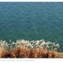 강변자전거길 2 이미지