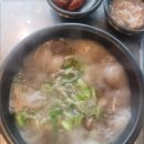 일호주