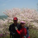 청풍면사무소 앞 이미지