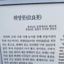 양못 이미지