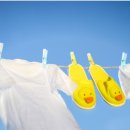 햇볕 세탁 이미지
