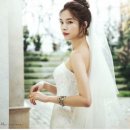 비마인