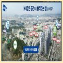 맘스메디케어 이미지