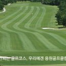 (주)용원 이미지