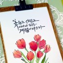 캘리그라피 입문 이미지