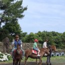 3박4일 제주 날씨의 민낯을 경험한 여행 이미지