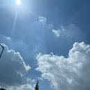 꿈이있는사과나무 | 제천 애견동반 여행코스 추천 강아지와 다녀온 사과나무집+가면 좋은 루트 총정리