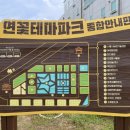 연꽃테마파크 | 시흥 연꽃이 펼쳐진 관곡지 연꽃테마파크 방문후기