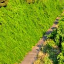 하늘향기 이미지