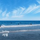 예뫼송동호바다 이미지