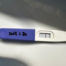 한국제통마취과의원 | 임신 준비 ~ 7주차의 기록 : 임신확인, 병원 정하기 부모님께 임밍아웃