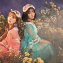 비밀정원 이미지