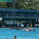 안중태권도장 이미지