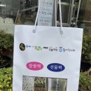 조문 답례떡 이바지 떡 강추 가례원 신촌본점 픽업 후기