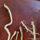 몽뜰리에 이미지