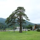 토속해장국 이미지