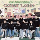 세븐틴 팬미팅 빈좌석 논란 정리 플레디스 대응은? 캐럿 반응 정리