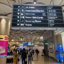 펀자브 레스토랑(PUNJAB RESTAURANT) | 항공] 6E1269 뭄바이(BOM)-무스카트(MCT) A320-200 인도 저가항공 탑승 후기 | 공항 와이파이 연결 방법