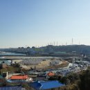 까페 하비비 이미지