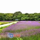 지리산국립공원이 있는 함양 상림공원 이미지