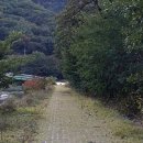 인권 행정사사무소 이미지