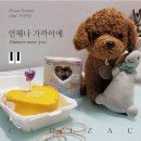 20번째 작은연주회 팜플렛 Pamphlet - 공연곡 및 연주자 소개 Songs &amp; Players 이미지