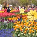 호수공원3로 이미지