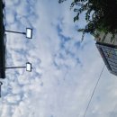 동나무집 이미지