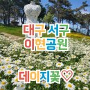 서구청소년수련관 주차장 이미지