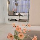 21C 세계로약국 이미지