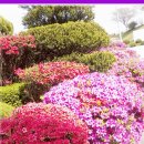 금강목욕탕 이미지