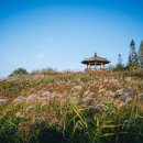 힐링산책코스 이미지