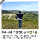 제주영송학교 | 제주 가볼만한곳 서쪽 오름 새별오름 주차장 소요시간 일출 일몰 억새시기