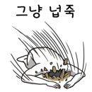 디엠달서점
