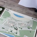 곰섬해수욕장 | [태안] 안개주의보와 함께 한 태안 곰섬 캠핑장 S17 데크 후기