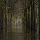 월드태양광 이미지