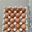 행복한닭농장 이미지