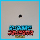 2024046 | 석고천정 구멍난천장 수리복원